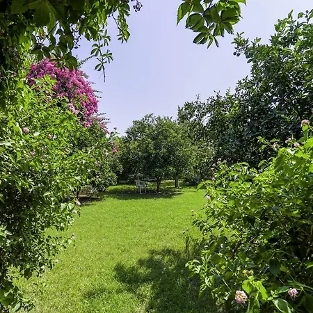 Apartman Vacation Oasis In 5 Min To Lara Beach Antalya